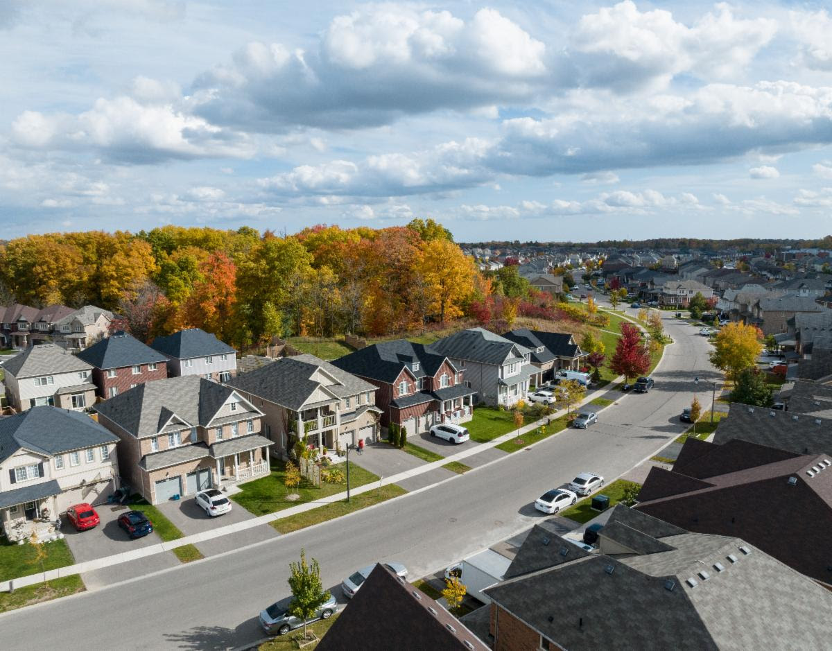 Established neighbourhood drone view
